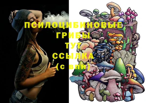 spice Нягань